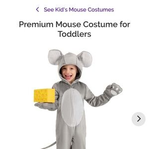 Charming Gray Mouse Costume for Kids
